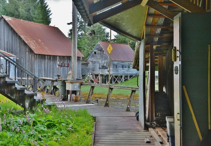 old houses on Hammer Slough